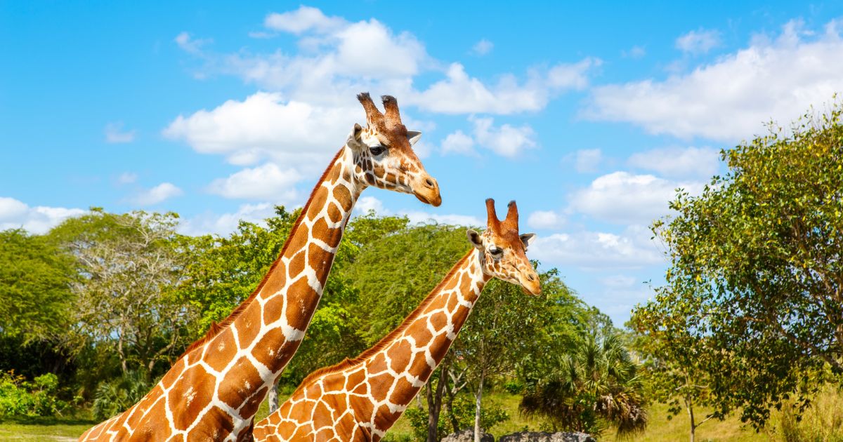 Family best things to do in Poland_Zoo