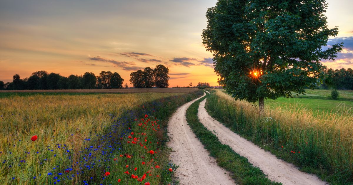 ProRelo Blog_Exchange Driving License in Poland (1)
